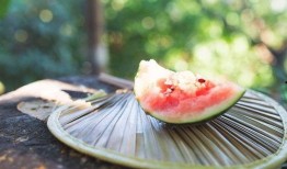吃瓜爆料 入口,吃瓜爆料背后的真相大揭秘