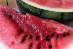 911爆料吃瓜,吃瓜群众视角下的惊天秘密