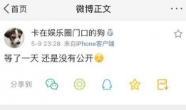 爆料吃瓜群有没有,揭秘网络爆料背后的真相与争议
