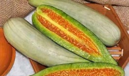 爆料吃瓜1588620,吃瓜群众热议的神秘事件深度解析