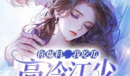 小说吃瓜爆料,揭秘小说背后的真实故事