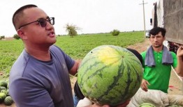 吃瓜爆料每日吃瓜,每日吃瓜爆料，带你领略明星幕后故事