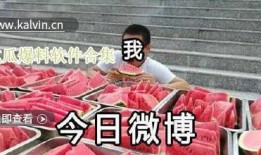 视频吃瓜爆料,视频吃瓜爆料背后的真相