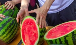爆料大学吃瓜,大学吃瓜事件大揭秘