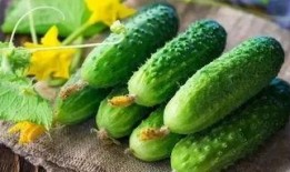 吃瓜爆料每日吃瓜,每日吃瓜爆料，带你领略明星幕后故事