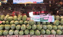宁夏吃瓜爆料,揭秘当地美食背后的故事